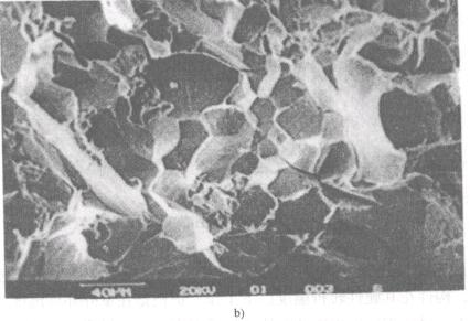 圖10一175失效護欄斷口微觀形貌(圖b)
